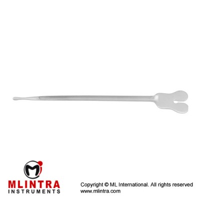Butterfly Probe / Grooved Director With Tip Stainless Steel, 16 cm - 6 1/4"